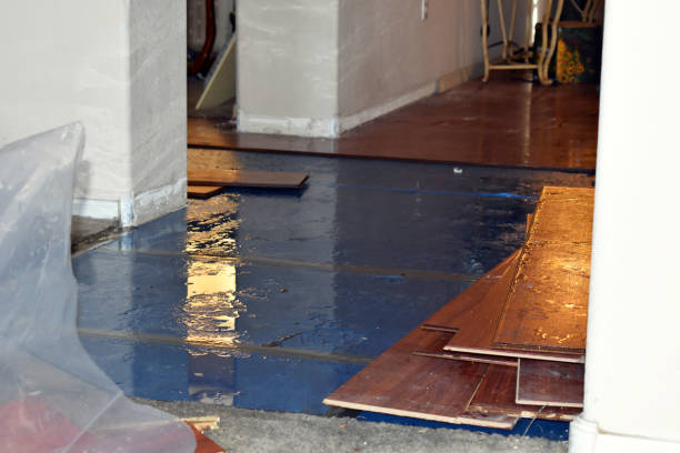 Professional Flood Damage Restoration technician working in Audubon, NJ